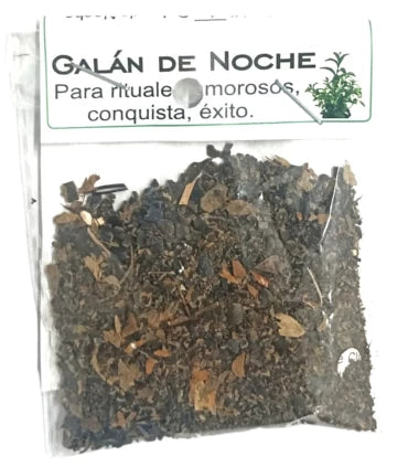 HIERBA GALAN DE NOCHE