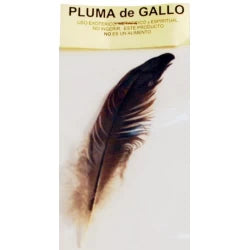 RITUAL PLUMA GALLO